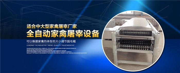 诸城市宏强机械厂 智能化屠宰机的创新先锋