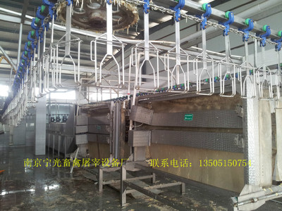 优质宁宁TQC-70型A字型立式脱毛机,鸡鸭鹅脱羽机打毛机,大型不锈钢脱毛机,鸡鸭鹅褪毛机脱毛机 A字型鸭鹅打毛机图片_高清图_细节图-南京宁光畜禽屠宰设备厂